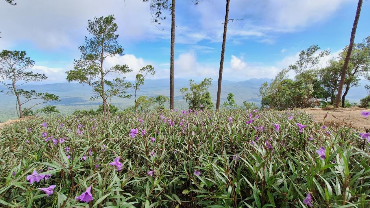 Romdoul Kirirom Resort コンポンスプー エクステリア 写真